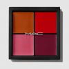 Paleta facial professional: rubor